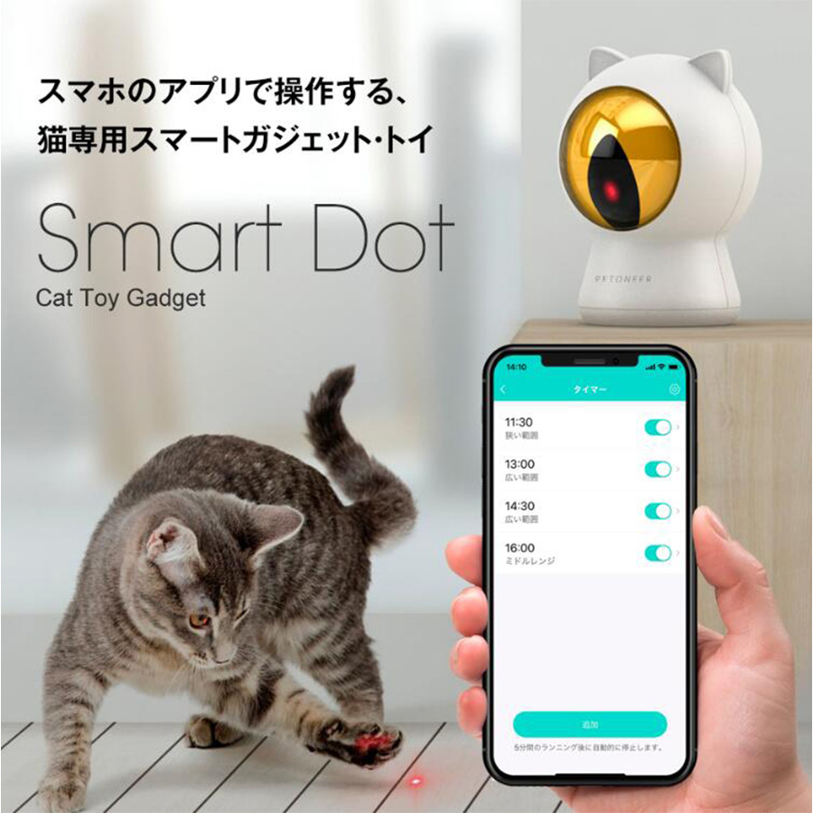 留守番ネコ
