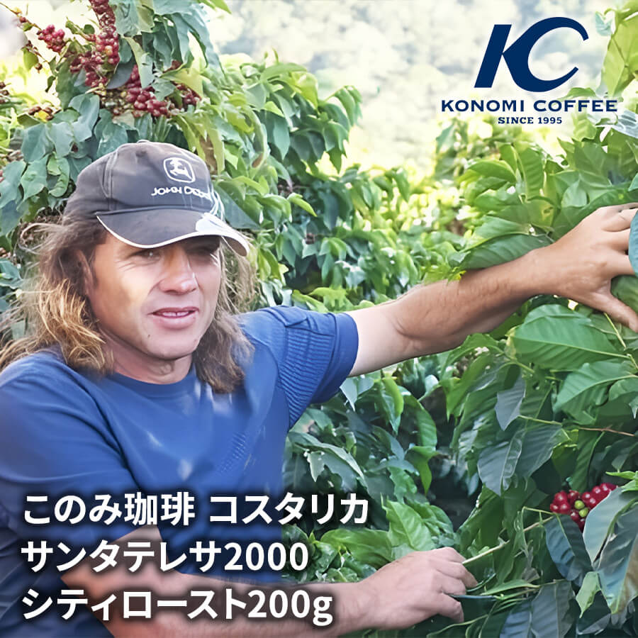 コスタリカ サンタテレサ2000 シティロースト