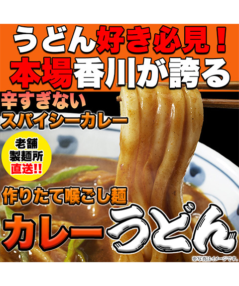 辛すぎないスパイシーなカレーうどん4食