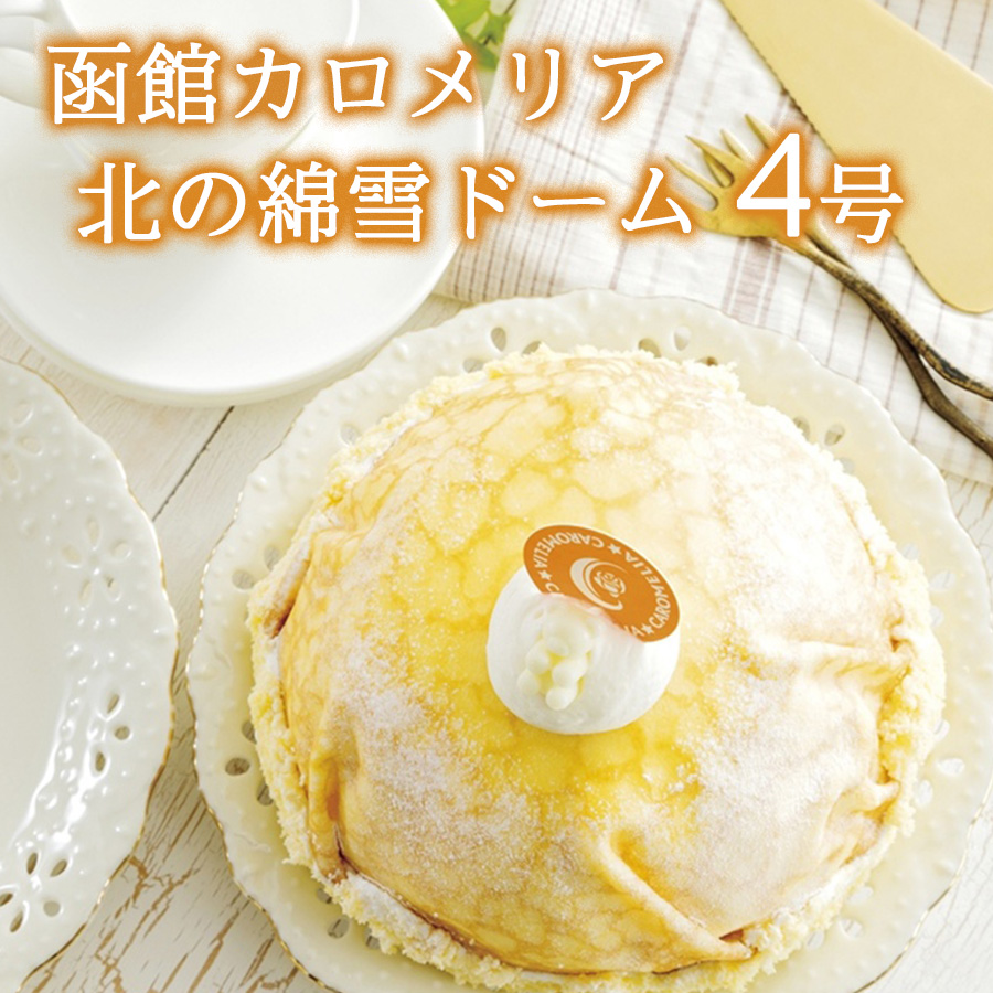 北の綿雪ドーム 4号