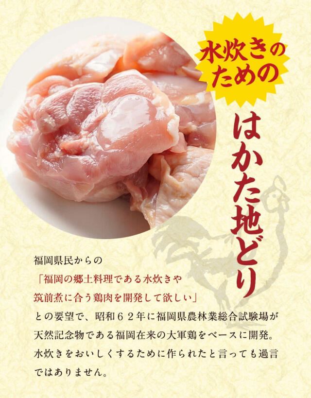 はかた地どり美人鍋セット 2〜3人前