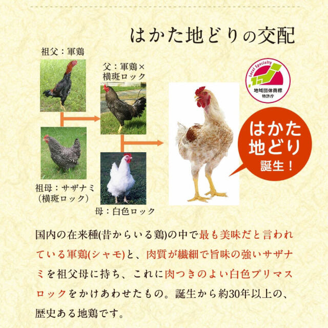 はかた地どり美人鍋セット 2〜3人前