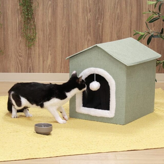 ペットハウス　三角屋根