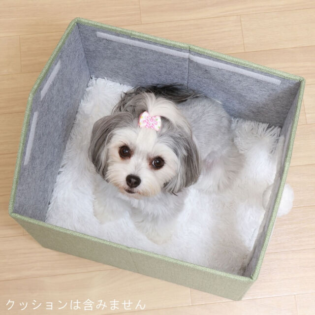 ペットハウス　三角屋根