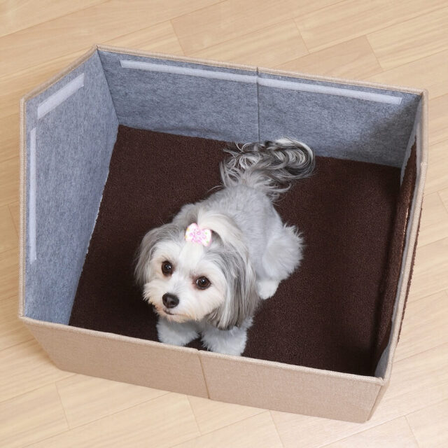 ペットハウス　三角屋根