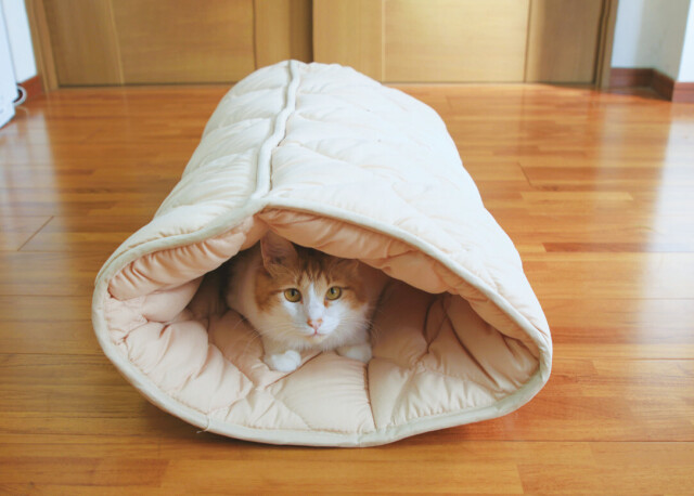 ふとんやの作ったペット用布団 キャットンネル