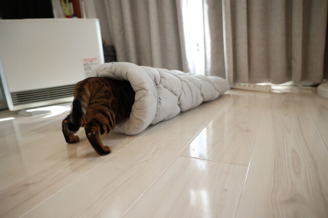 ふとんやの作ったペット用布団 キャットンネル