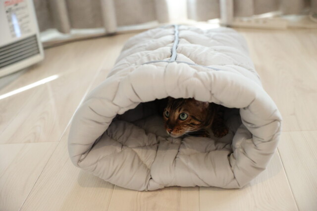 ふとんやの作ったペット用布団 キャットンネル