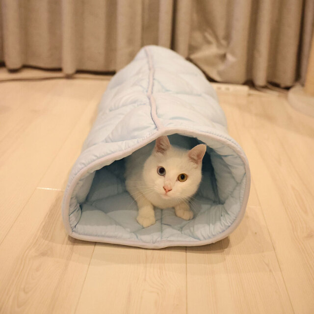 ふとんやの作ったペット用布団 キャットンネル