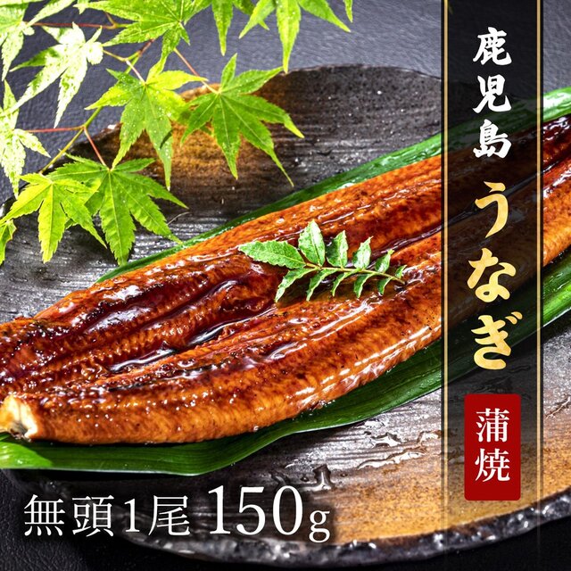 【送料無料】鹿児島うなぎ無頭 蒲焼1尾150g × 1P ※タレ・山椒付 長焼き 長焼 ウナギ 鰻 冷凍 ※離島は配送不可
