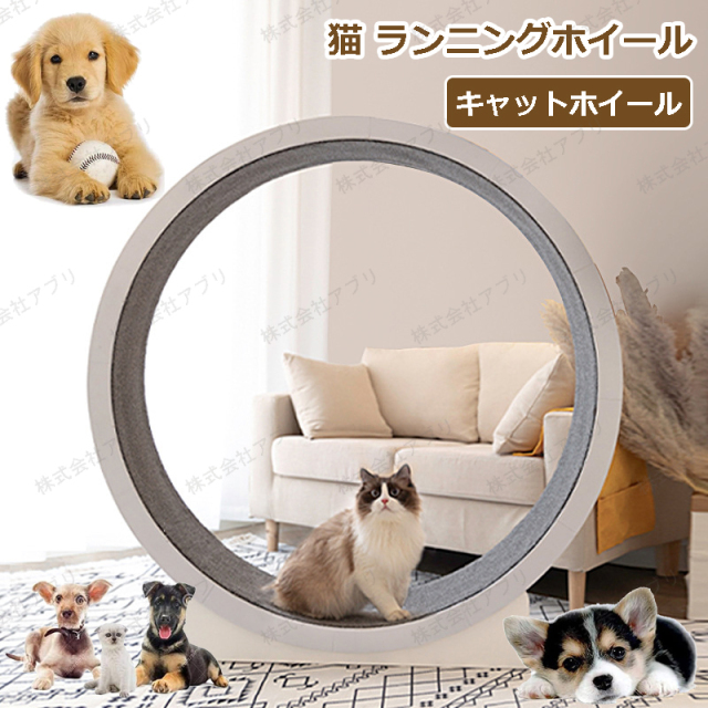 キャットホイール