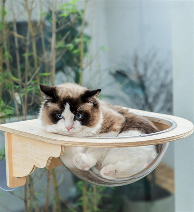 猫用ハンモック