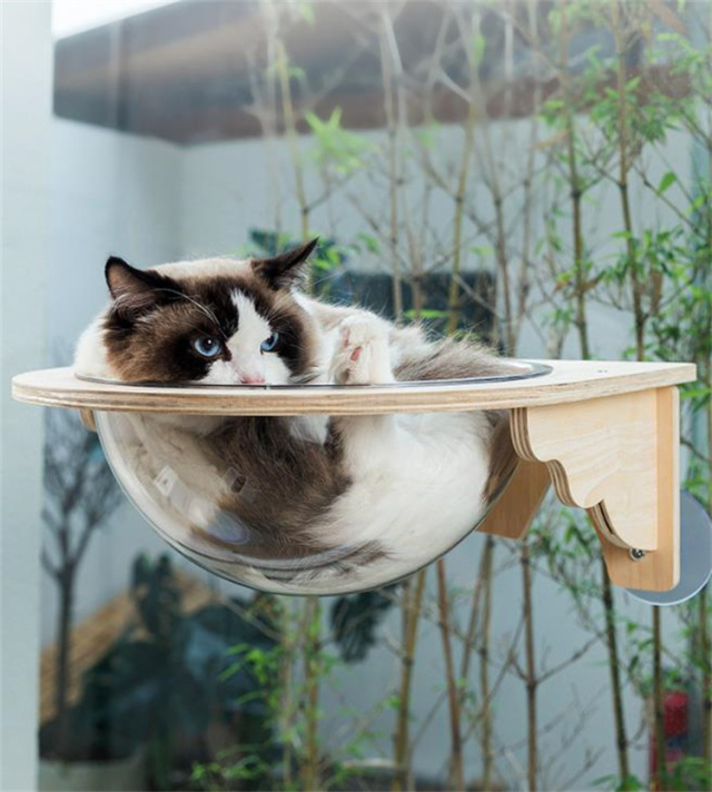 猫用ハンモック