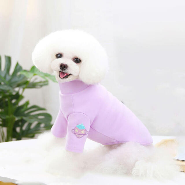 【スペシャルセット】ペットアイテム5点セット