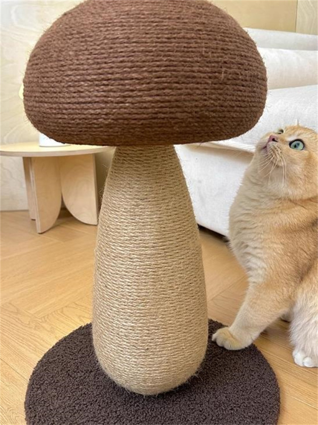 猫つかみ板
