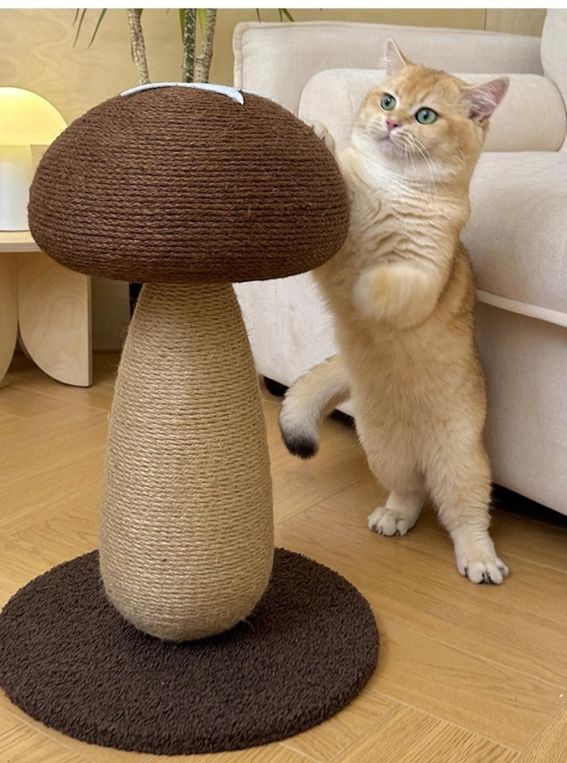 猫つかみ板