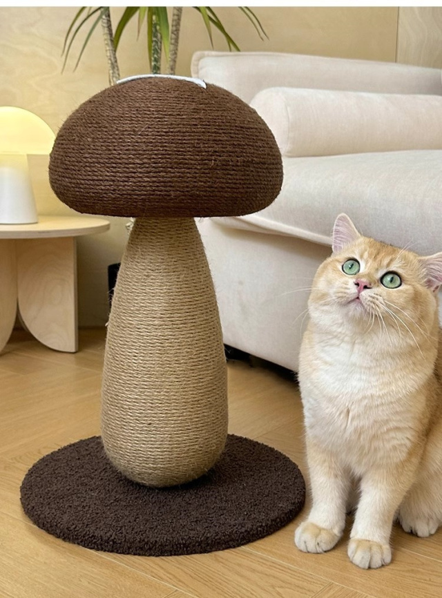 猫つかみ板