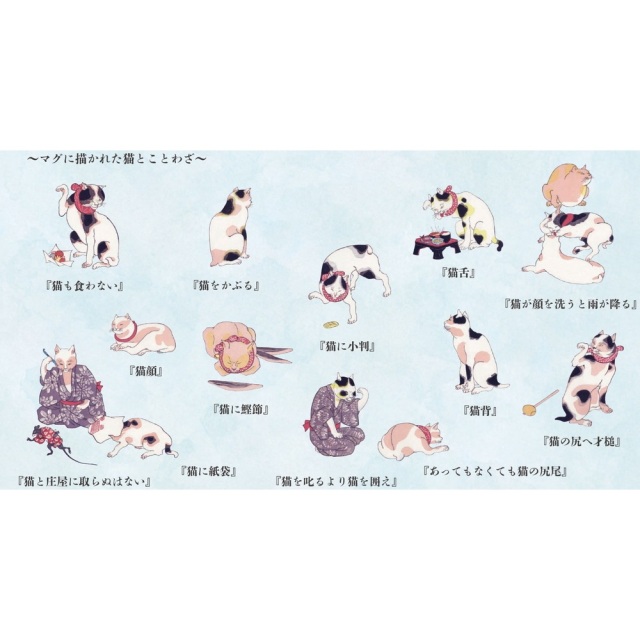 江戸猫マグペア　「たとえ尽の内」