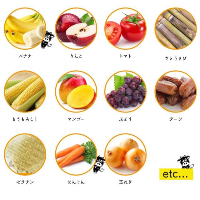 レトルトカレー「カレーです。」　