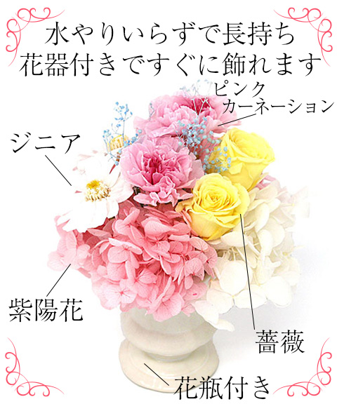 プリザーブドフラワー ミニョン MF-10