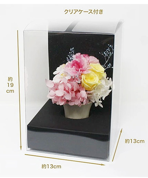 プリザーブドフラワー ミニョン MF-10