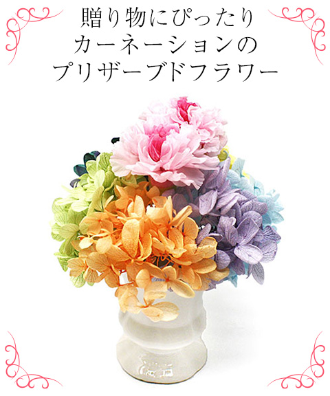 プリザーブドフラワー なないろ-Nanairo-