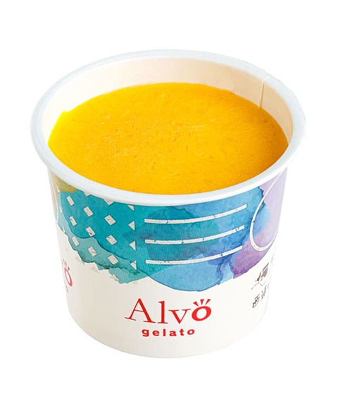 ALVO12種