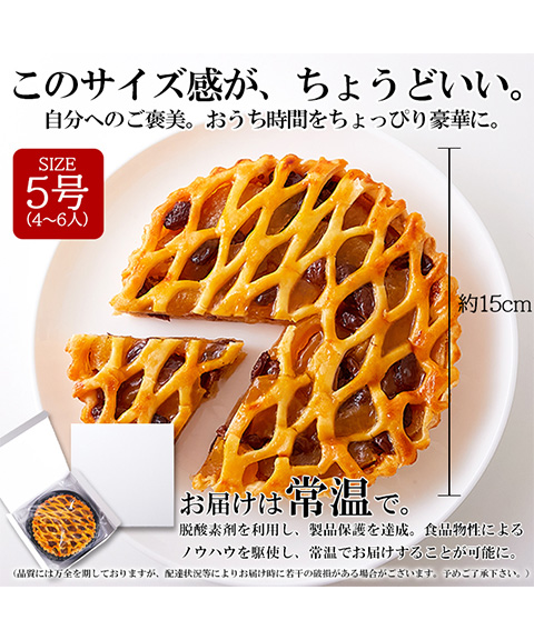 アップルレーズンパイ5号