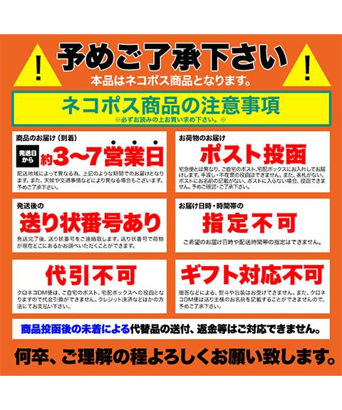 アップルレーズンパイ5号