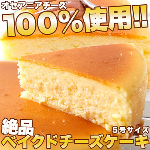 【送料無料】絶品ベイクドチーズケーキ５号