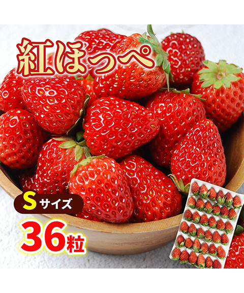 紅ほっぺ Sサイズ(36粒)
