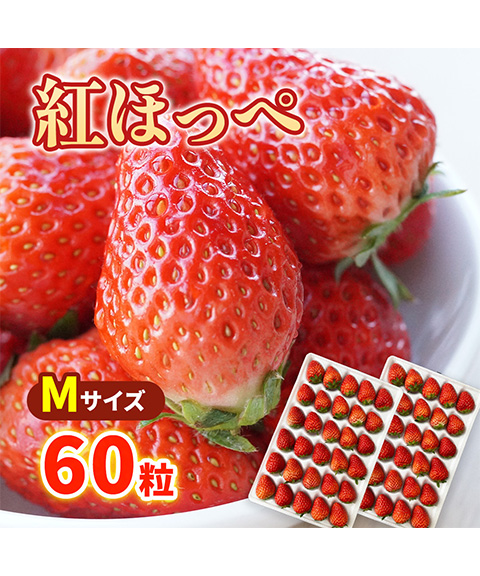 紅ほっぺ Mサイズ(60粒)