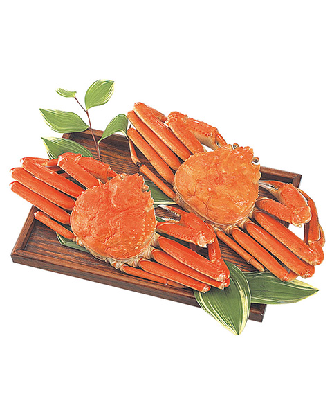 ボイルずわいがに姿 500g×2杯