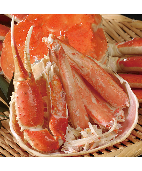 ボイルずわいがに姿 500g×2杯
