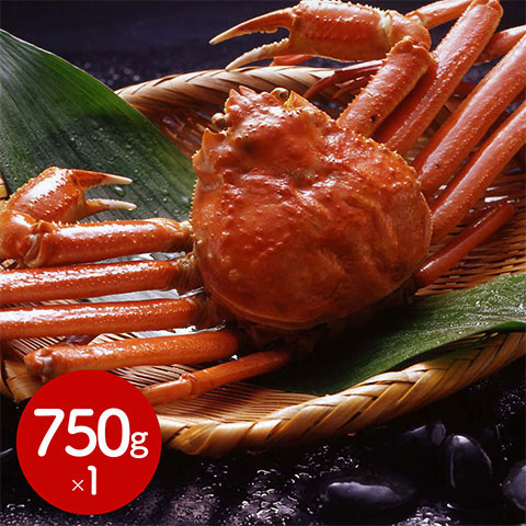 【送料無料】ボイルずわいがに姿 750g×1杯