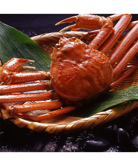 ボイルずわいがに姿 750g×1杯