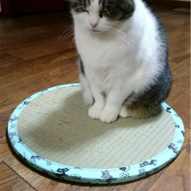 ネコほいほい