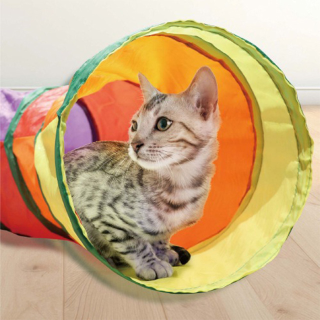 キャッツトンネル