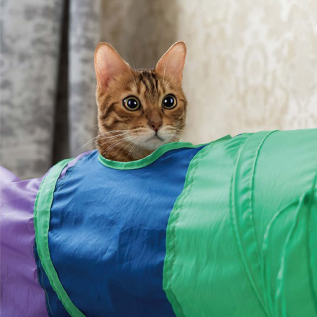 キャッツトンネル