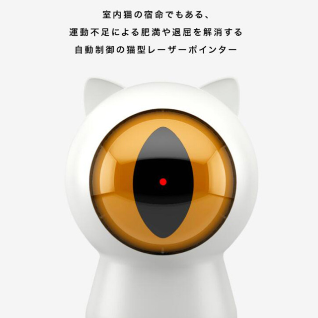 留守番ネコ