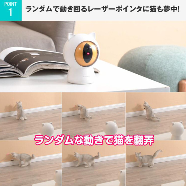 留守番ネコ