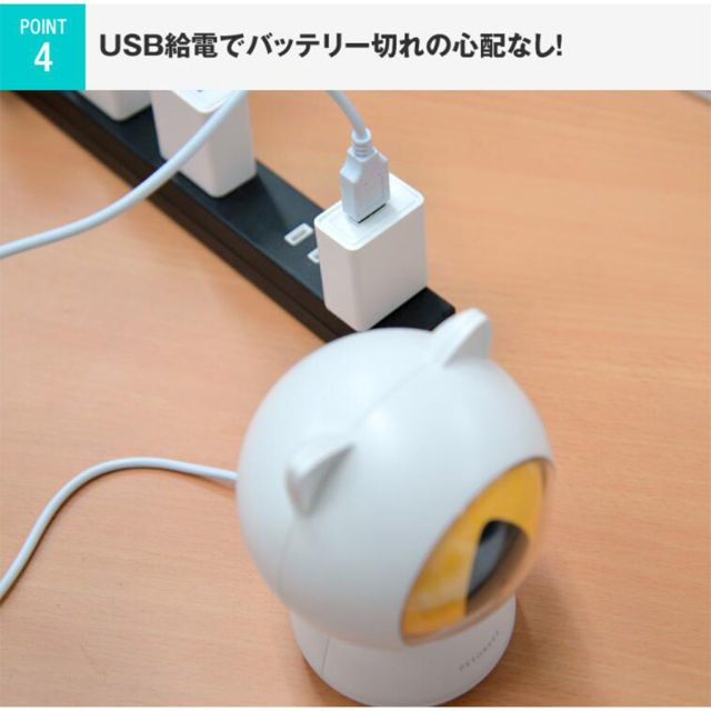 留守番ネコ