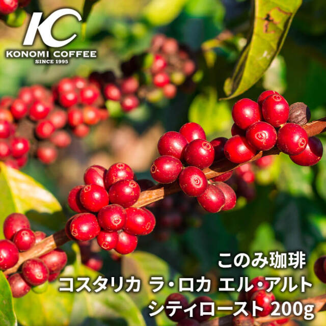 コスタリカ ラ・ロカ エル・アルト シティロースト(200g)