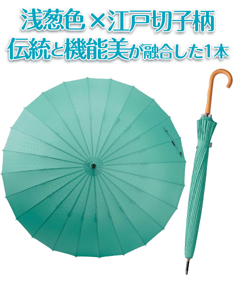 マブ　超軽量２４本骨傘江戸浅葱