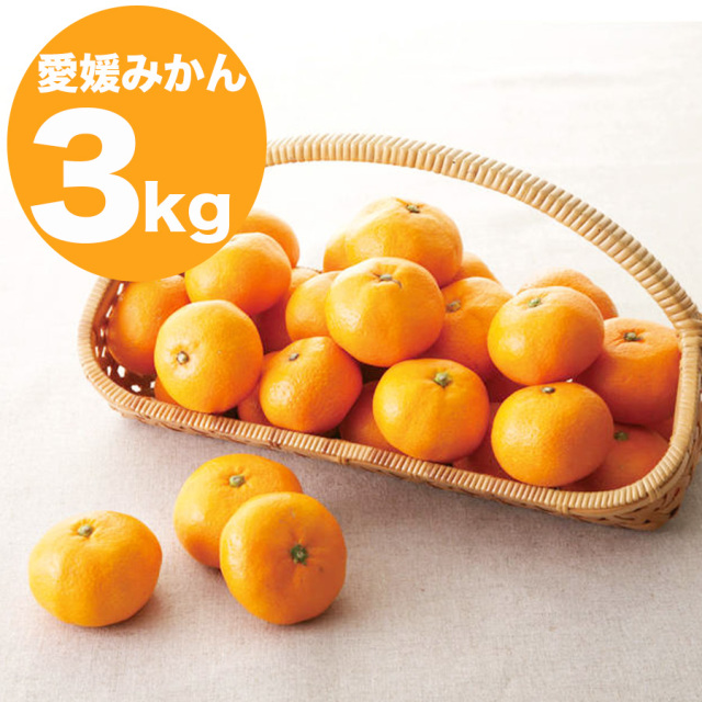 愛媛みかん 約3kg