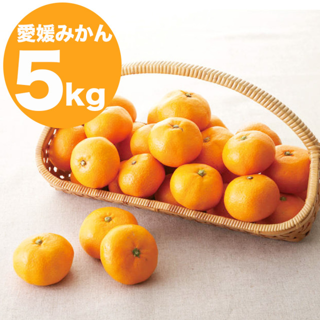 南四国ファーム 愛媛みかん 約5kg(S〜Lサイズ)
