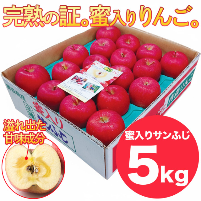 ふじ発祥の地 藤崎町 サンふじ蜜入りりんご約5kg