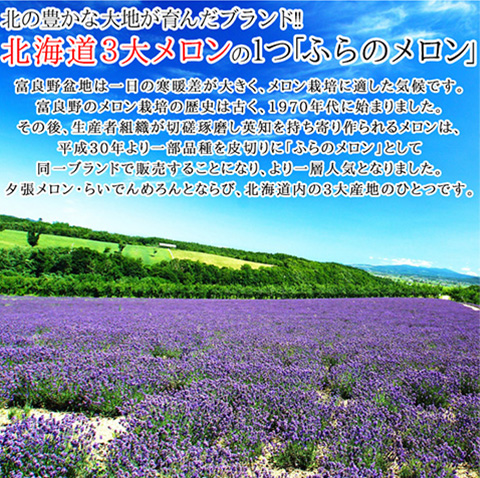 富良野メロン