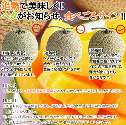 富良野メロン