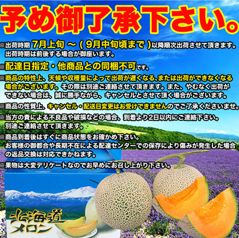 富良野メロン